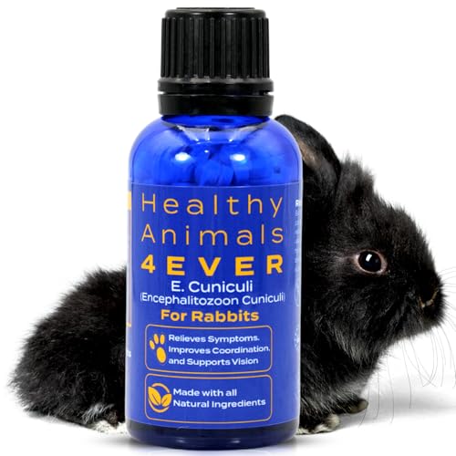 Orchitis? White bumps on testicles | Rabbit Talk - Meat Rabbit ...