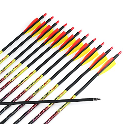 Misayar 12Pcs/lot 30 Inch Carbon Arrows Fletched 3 Inch Vane with Field Points for Recurve Compound Bow Targeting or Hunting
