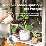 Bamworld B0FFSRXFM6 lato 4