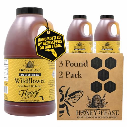 HONEY FEAST Raw Wildflower Honey 3 Pounds (Pack of 2) – From American Organic Floral Sources