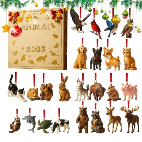 2025N NX}X Aj} Ahxg JEg_E | 2DAN24,zf[ I[ig JEg_E J_[,  [X }g  Q  Ki rO[ p