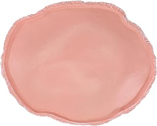 Ipetboom Bandeja De Vidro Recipientes De Comida De Vidro Terrários Bandeja De Resina Comida De Dragão Barbudo Réptil Worm Alimentador Animais De Estimação Prato De Alimentação Suprimentos