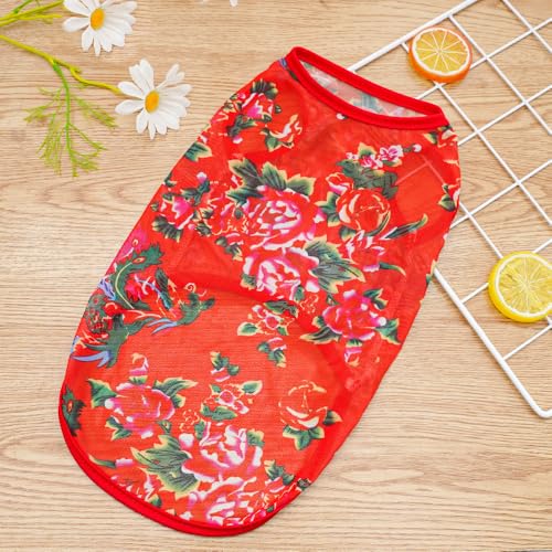 ʋCbVp_vgybgxXg - yʌL^Ngbv