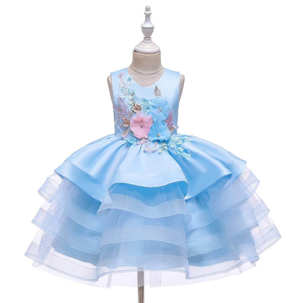 【服装】Girls Dress Embroider Cake Layered Princess Dress Dresses for Girls （童装）Carnival Party Ball Gown Clothing (Color : A, Size : 12M)