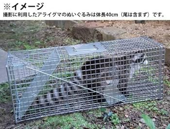 Amazon.co.jp: 踏み板式捕獲器・改良型 大・シルバー（完成品