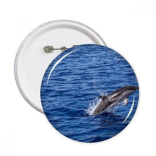 Badge baleine tueur océan original en lot de 5 : l'idée cadeau parfaite pour les fans de nature