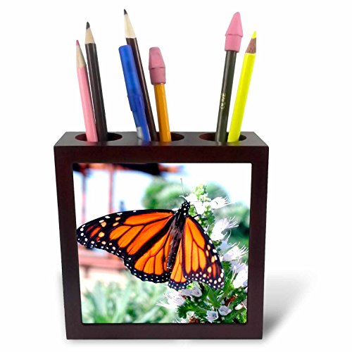 3dRose ph_1106_1 Monarch Butterfly Tile Pen Holder, 5-Inch