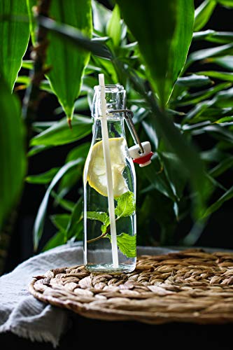 Pitillos biodegradables Ecoware pack 50 unidades miniatura 7