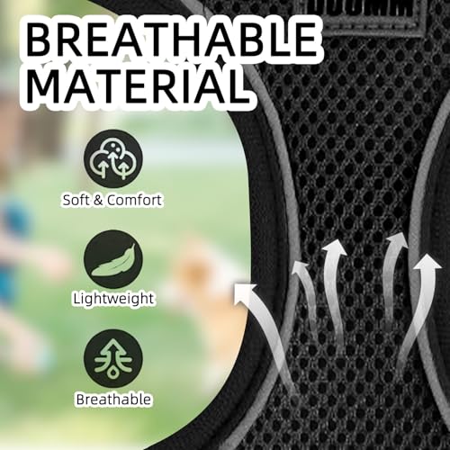 Dog Harness Medium Breathable Vest, Step-in Cat Puppy Collars and Lead Sets, Adjustable Dog Harness And Lead Set with Collar for Small Medium Pet Training or Walking Safety - Image 2