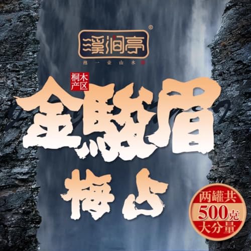 Thé noir Jin Junmei Tongmuguan coffret de thé de prestige 250g*2
