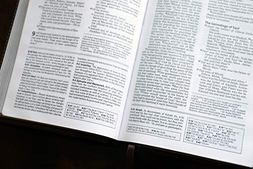 Image of NIV, Foundation Study Bible, Leathersoft, Brown, Red Letter