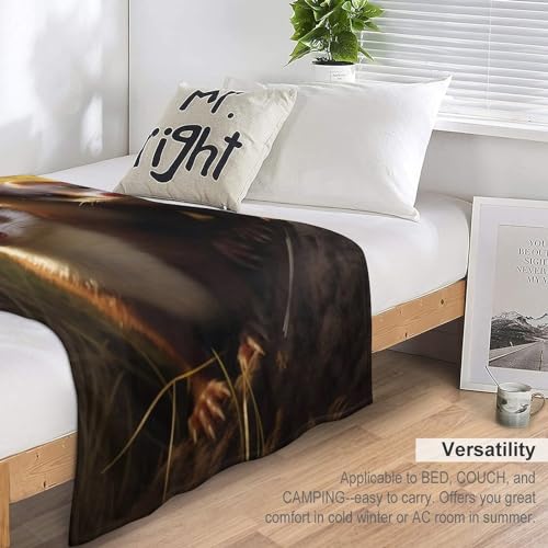 Couverture en polaire flannel douce de qualité supérieure lit 180x200