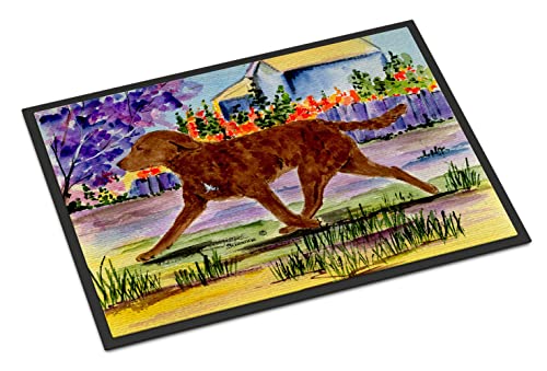 Caroline's Treasures SS8435JMAT Chesapeake Bay Retriever Doormat 24x36 Front Door Mat Indoor Outdoor Rugs for Entryway, Non Slip Washable Low Pile, 24H X 36W