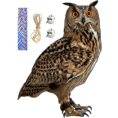 Espantapájaros de búho 2D de 30 cm en polipropileno impermeable con cascabel para huerto 2