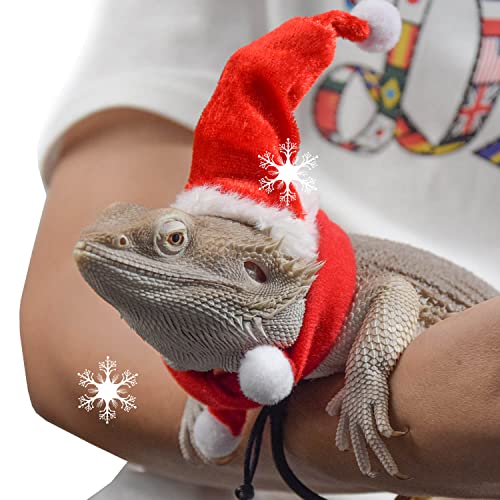 Bearded Dragon Clothes Christmas Costume Reptile Santa Hat Scarf Ferret Xmas Hat Pet Costume Clothes Outfit Small Animal Costume Clothing Mini Reptile Straw Hat with Antlers Adjustable Strap (Red)