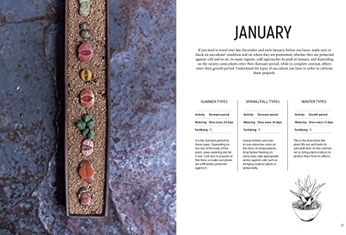 Succulents for Beginners: A Year-Round Growing Guide for Healthy and Beautiful Plants (Over 200 Phot