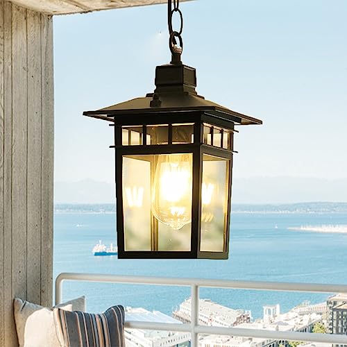 Chao Zan Outdoor Chandelier for Porch, Exterior Hanging Light Lantern with Transparent Glass, Pendant Light Waterproof Metal Aluminium Ceiling Mount Farmhouse Gazebo Entry Front Door, Black