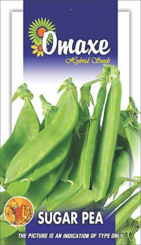 Kitchen Garden Hub Sugar Pea- Snow Peas Exotic Seeds - Pack of 2 Kitchen garden seeds Packet sold by Kitchen Garden Hub (B07MMFK9JJ) Amazon Price History, Amazon Price Tracker