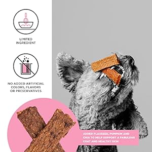 Bixbi Pores and Skin  Coat Help Salmon Jerky Canine Treats 4 Oz  Usa Made Grain Free Canine Treats  Antioxidant Wealthy to Help Shiny Full Bodied Coats  Excessive in Protein Complete Meals Vitamin No Fillers  Cucciolini Doodles Bixbi pores and skin  coat help salmon jerky canine treats 4 oz  usa made grain free canine treats  antioxidant wealthy to help shiny full bodied coats  excessive in protein complete meals vitamin no fillers   cucciolini doodles