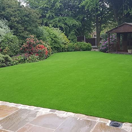Bermuda grass seeds for lawn, Lawn grass seeds bermuda, Grass seeds for lawn bermuda ( 8000 seeds ) (B0BTT4XBYR) Amazon Price History, Amazon Price Tracker