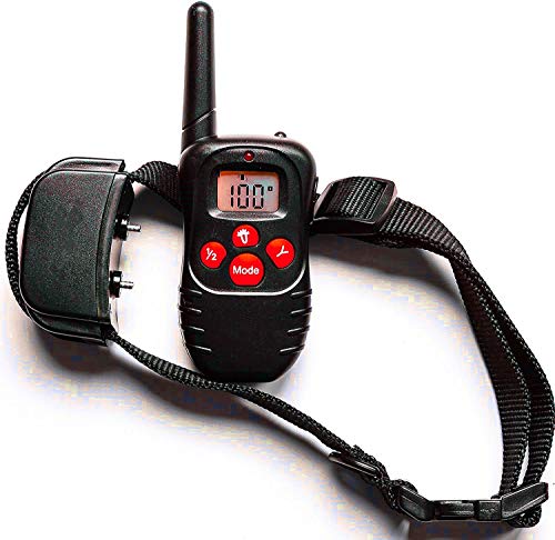 Guinzaglio per cani che si lega alla vita, non