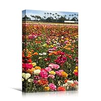 Canvas Wall Art Assorted Fields Bohemian Colorful Floral Group Multicolor Photography - 12x18 inches