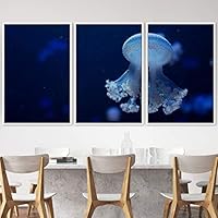 3 Piece Framed Canvas Wall Art Colorful Jellyfish Marine Life Canvas Prints Home Artwork Decoration for Living Room,Bedroom - 16