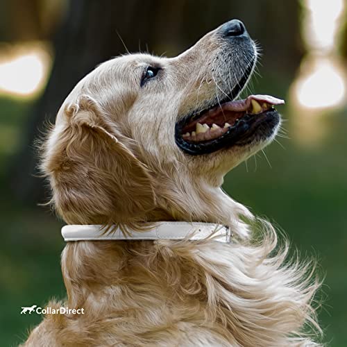 Collardirect Rolled Leather Dog Collar, Soft Padded Round Puppy Collar, Handmade Genuine Leather Collar Dog Small Large Cat Collars 13 Colors (20-23 Inch, Beige Textured) #TOP5
