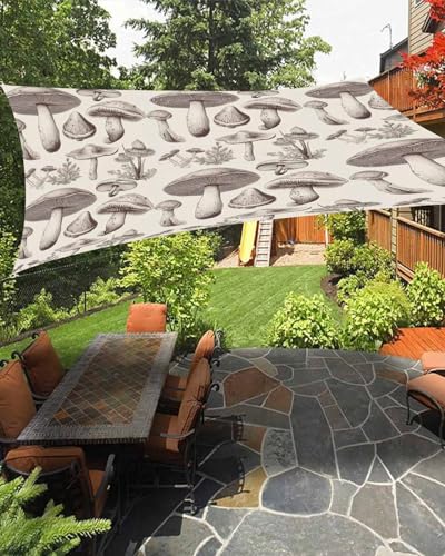 Boanket Sun Shade Sail 14' x 18', Mushroom Large Heavy Duty Outdoor Shades Sun Screen, Farmhouse Retro Khaki Mushroom Shade Cloth for Patio Deck Terrace Garden Lawns Beach Backyard