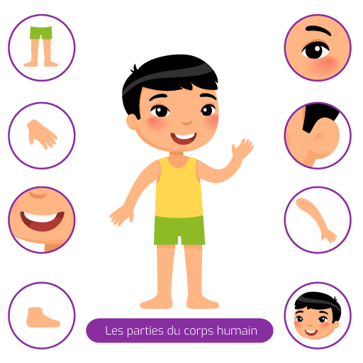 Puzzle Anatomique Géant Le Corps Humain – 90 Cm Avec Squelettes Et Organes En Feutre Velcro, Jeu éducatif Montessori 3-12 Ans