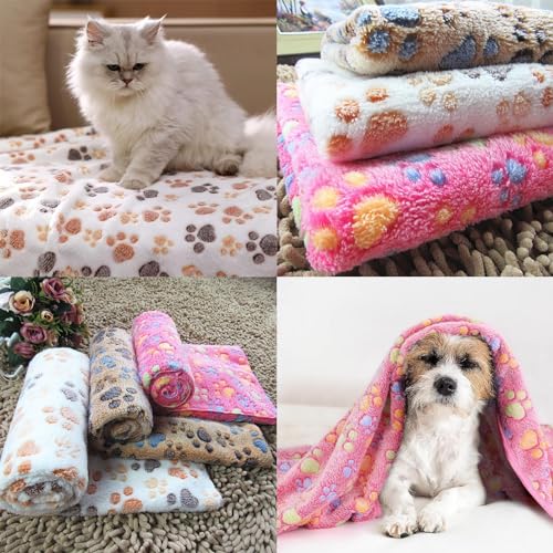 3 Stück Katzendecke, 40X60 cm Katzendecke Für Katzen, Kuscheldecke Hund Waschbar Und Flauschig Weiche Und Warme Decken Haustiere für Kleine Mittlere Hunde Katzen Haustierdecke Schlafmatte