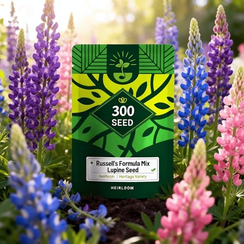 Lupine Seeds for Planting - 300 Heirloom Perennial Flower Seeds Cold-Resistant Blue-Purple Flower Spikes