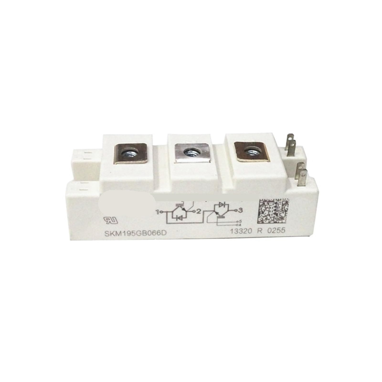 SWEWDSQG SKM195GB066D Module