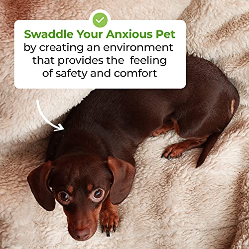 Alpha Paw - Cozy Calming Blanket - Anxiety & Stress Relief Blanket for Pets - Extra Soft Polyester Sherpa Fabric… - Image 5