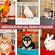 BOXOB 6-Teiliges Reinigungsbürsten-Set für Vogelkäfige, Multifunktional Vogelkäfig-Reinigungszubehör mit Schaber Bürstenwerkzeuge für Kleintierkäfige Sittiche und Hamster