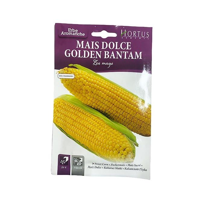 Spring Rose Souq Sweet Corn Seeds - Premium Quality, Non-GMO, Sweet, Juicy Kernels for Delicious Harvests, Ideal for Home Gardens - Made in Italy