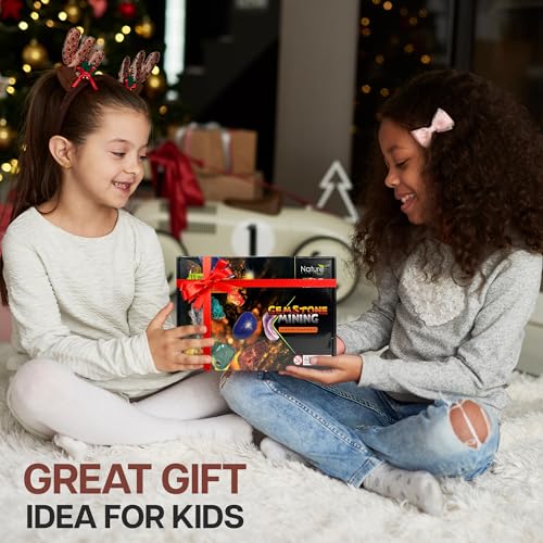Nature Gear Gemstone Dig Kit for Kids, Educational Crystal Excavation Kit with 15 Mystery Gems, Interactive Adventure Fossil Mining Toy for Kids Age 3-5 and Up