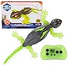 HEX BOTS Wall Crawler Gecko with Official Wall Climber Technology, Rechargeable Remote Control Robot Kids Toys, Prank Toys for Boys & Girls Ages 4 & Up