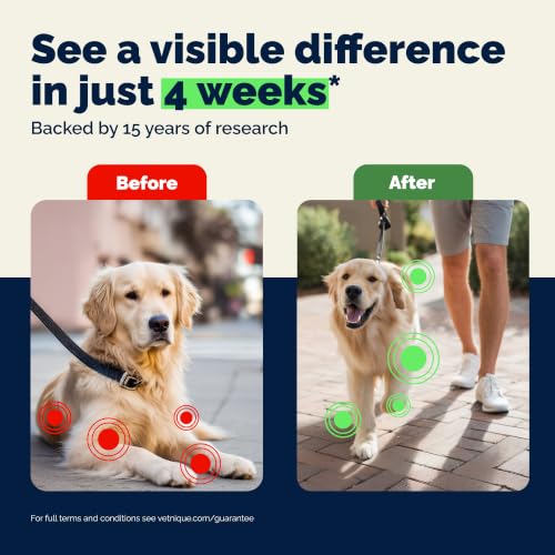 Image of YuMOVE Dog Hip & Joint Supplement, Regular Strength 60 Chewable Tablets