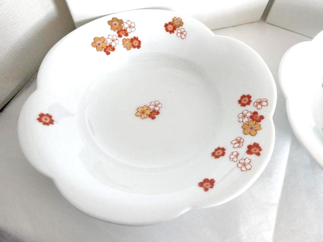 プレゼントに最適！深川製磁 大鉢 アントレ 百代草 プレゼントに最適