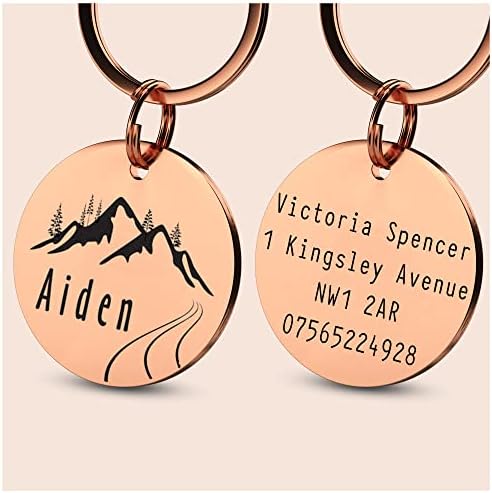 HappyPaws Pet ID Tag Engraved Name Identification Plate for Dogs, Personalized Dog Tag, Pet Accessories | Collar Tag for Cats and Dogs (3. Steel, Design 2)