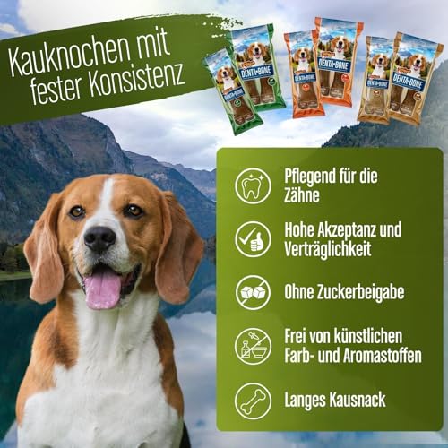 DeliBest DentaBone Strauss I Kauknochen Hund leicht verträglich ohne Gluten I Kaustange Hund für die Zahnreinigung I Hundesnacks für groß und klein I Hundekauknochen 2 x 60 g