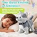 HCdoujoy Husky Walking Dog Barking Toy, Musical Singing Dancing Volume Control Interactive Puppy Walk Along with Leash, Wagging Tail Shaking Head, Robot Plush Stuffed Animal Puppy for Kid