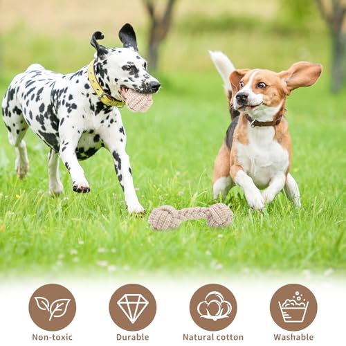 5 Stück Hundespielzeug Seil,Seilspielzeug für Kleine Hunde,Hundespielzeug Seil mit Knoten Ball,Geflochtene Hundeseile Spielzeug aus Baumwolle & Hanf,Baumwolle Interaktives Kauspielzeug für Welpen, Kle