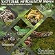 ZeeDix 220g Moos für Terrarium & Pflanzen, Reptilien Moos Terrarien Moosstreu für Leopardgeckos/Echsen/Schlangen/Schildkröten/Frösche, Sicher mit Atmungsaktivität