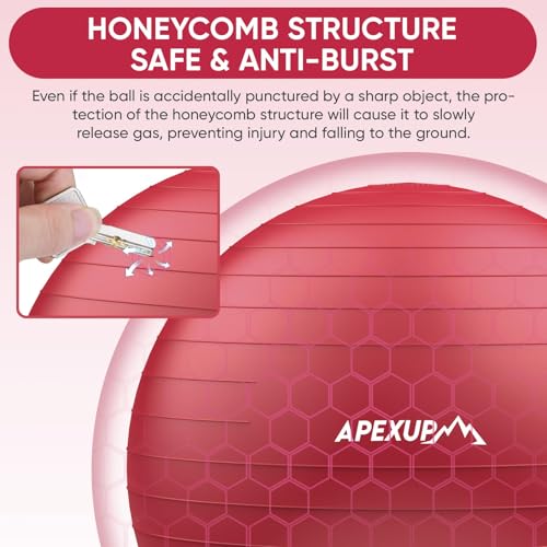 Image of APEXUP Yoga Ball, 660 lbs Anti-Burst Exercise Ball with Pump, 5 Sizes