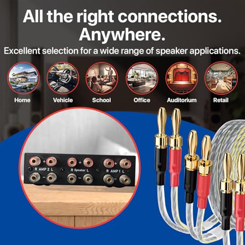 Image of Y.D.F 2 Port Amplifier Speaker Selector, 2(1)-in-1(2)-Out Amp Speaker Switcher Selector, AMP A /B Switch Splitter 2-Way Loudspeaker Control Combiner Box