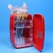 Infmetry Mini Refrigerator Shaped Pen Holder & Piggy Bank Teacher Gifts For Women Christmas Gift (Red)