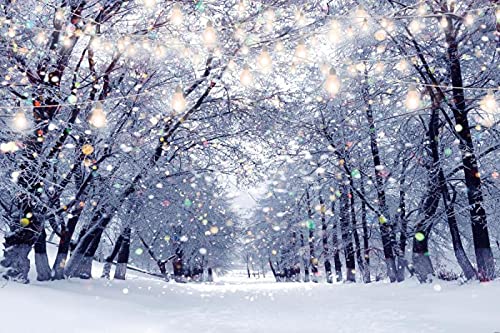 Diha 12x8ft Winter Forest Backdrop, Branches Covered With Snow, Backdrop For Birthday Party Decoration Outdoor Theme Bedroom Wedding Day Photoshoot Background K