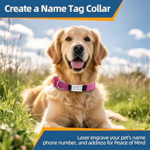 Hundehalsband Personalisiert mit Namen - Hundemarke mit Gravur, Reflektierend Gepolstertes Halsband Hund Verstellbar für Kleine/Mittlere/Große Hunde